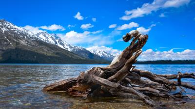 Jenny Lake In Grand Teton National Park Jackson Hole Wyoming Wallpaper