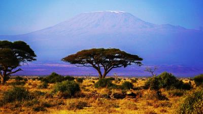 Kilimanjaro Above The African Savanna Hd Wallpaper