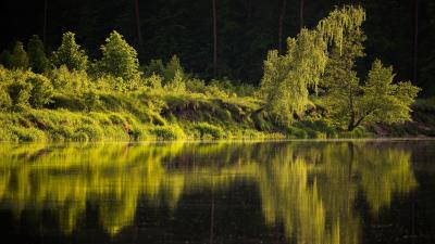 Lake Water Nature Reflection Wallpaper