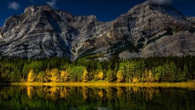 Mountains Pond Reflection Trees Wallpaper