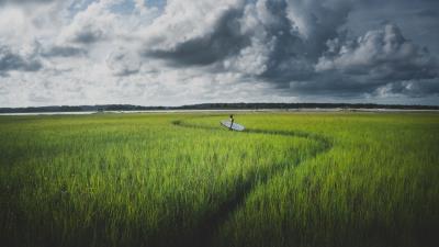 Nature Field Grass Long Road Countryside Wallpaper