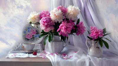 Photography Still Life Wallpaper