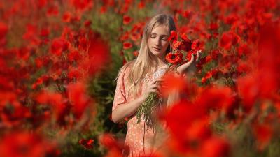 Poppy Field Beauty 4k Wallpaper