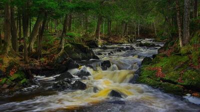 Rocky Forest In Autumn Wallpaper