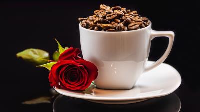 Rose Flower Coffee Beans Wallpaper