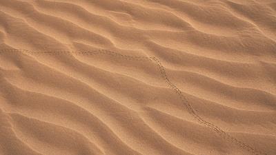 Sand Texture Background Wallpaper
