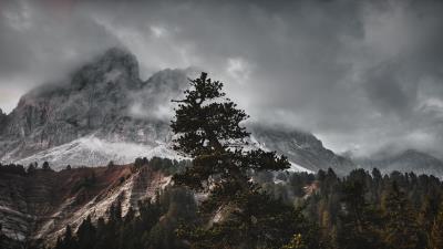 Sky Nature Tree Mountain Wallpaper