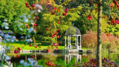 Springhead Gardens Dorset England Wallpaper