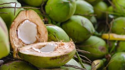 Summer Green Fruit Coconut Wallpaper