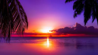 Tahitian Sunset Wallpaper