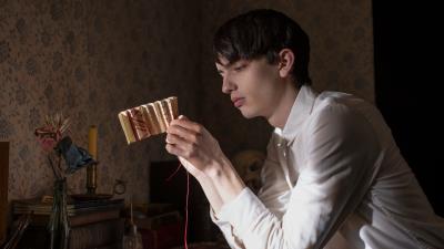 The Power Of The Dog Movie 2k Wallpaper Wallpaper