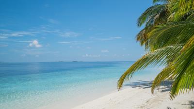 Tropical Summer Beach Wallpaper