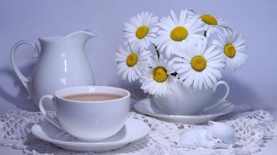 White Coffee Cup Chamomile Wallpaper