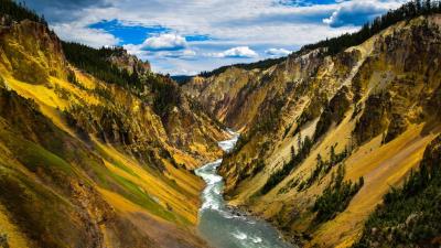 Yellow Valley Yellowstone Wallpaper