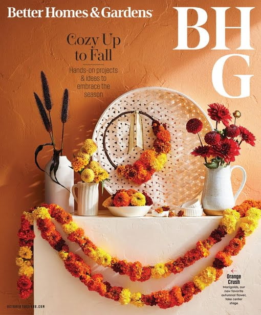 Better Homes & Gardens USA October 2023 Free Magazines & eBooks