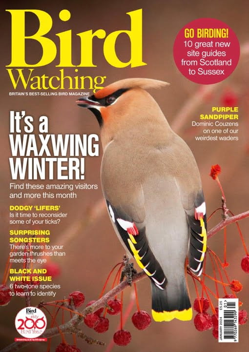 Bird Watching UK January 2024 Free Magazines & eBooks