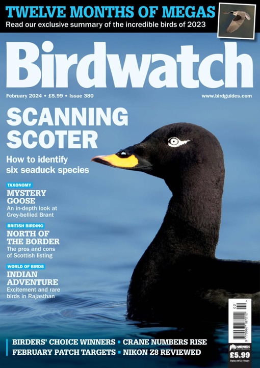 Birdwatch UK February 2024 Free Magazines & eBooks