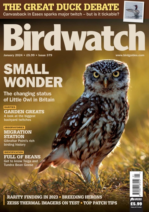 Birdwatch UK January 2024 Free Magazines & eBooks