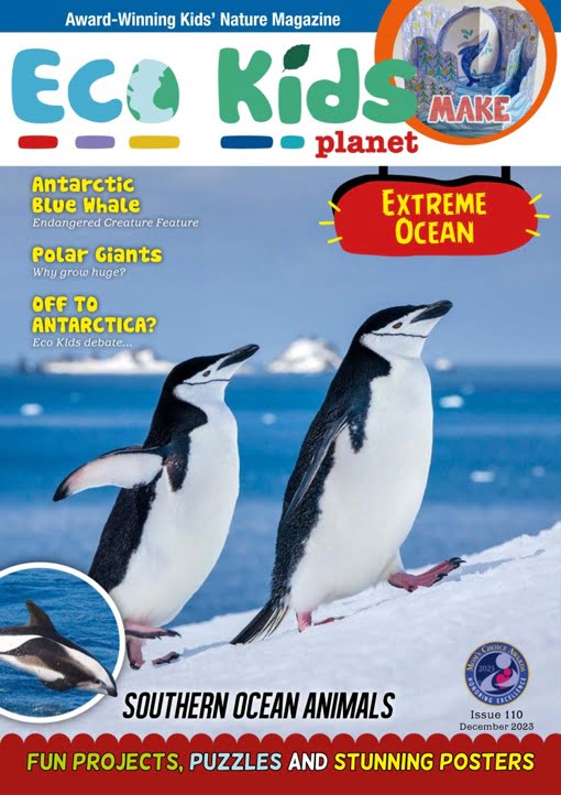 Eco Kids Planet Magazine – Issue 110 – December 2023