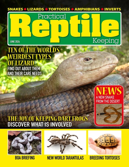 Practical Reptile Keeping June 2024