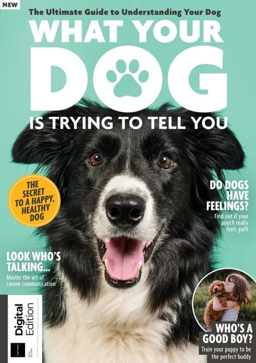 What Your Dog Is Trying To Tell You – 5th Edition – January 2024