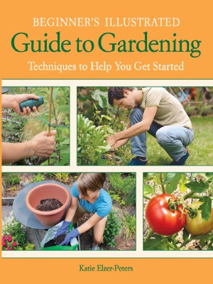 Beginner’s Illustrated Guide to Gardening – Techniques to Help You Get Started