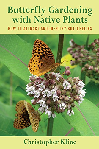 Butterfly Gardening with Native Plants – How to Attract and Identify Butterflies
